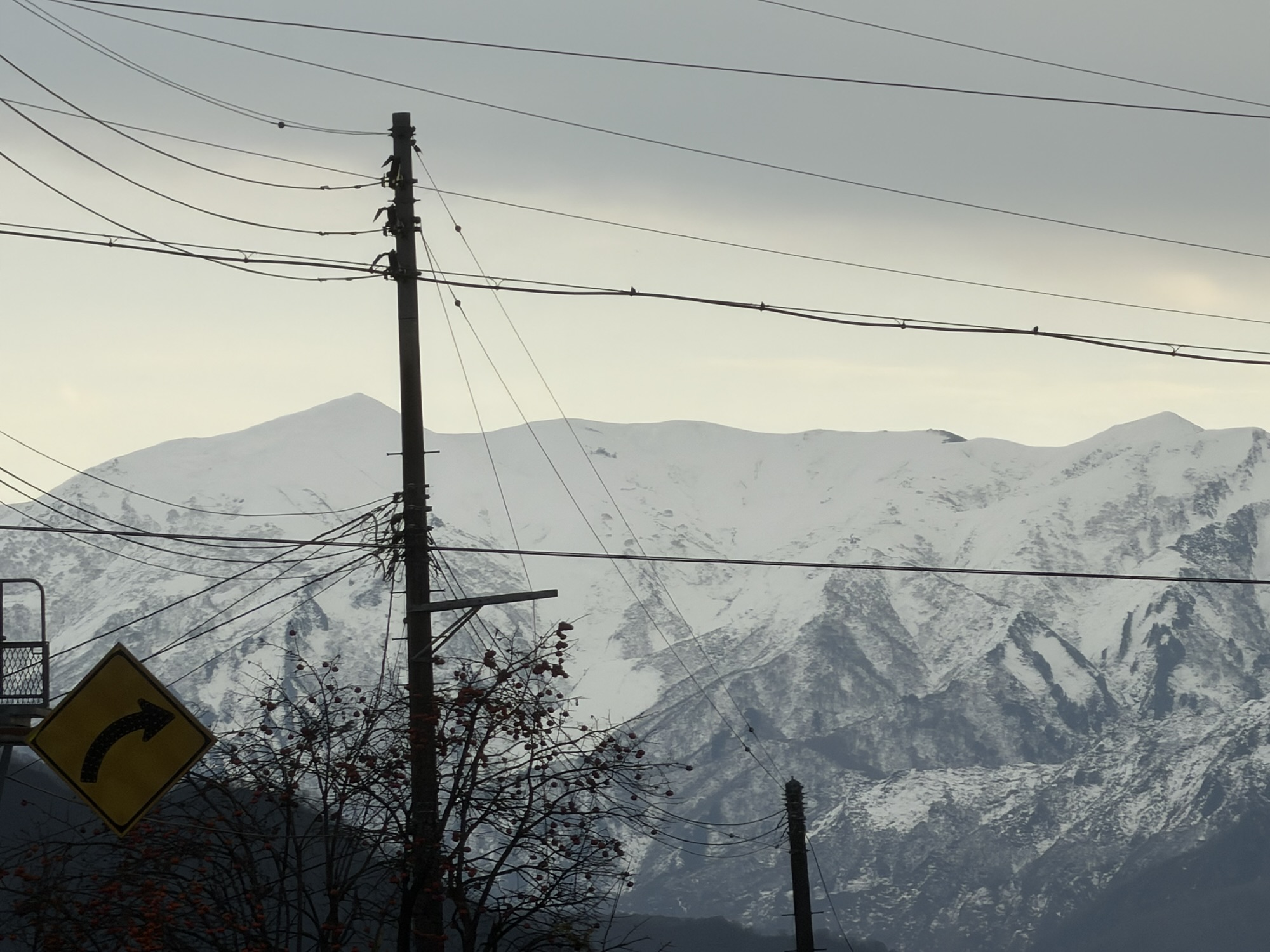 電柱越しに見える雪をかぶった山