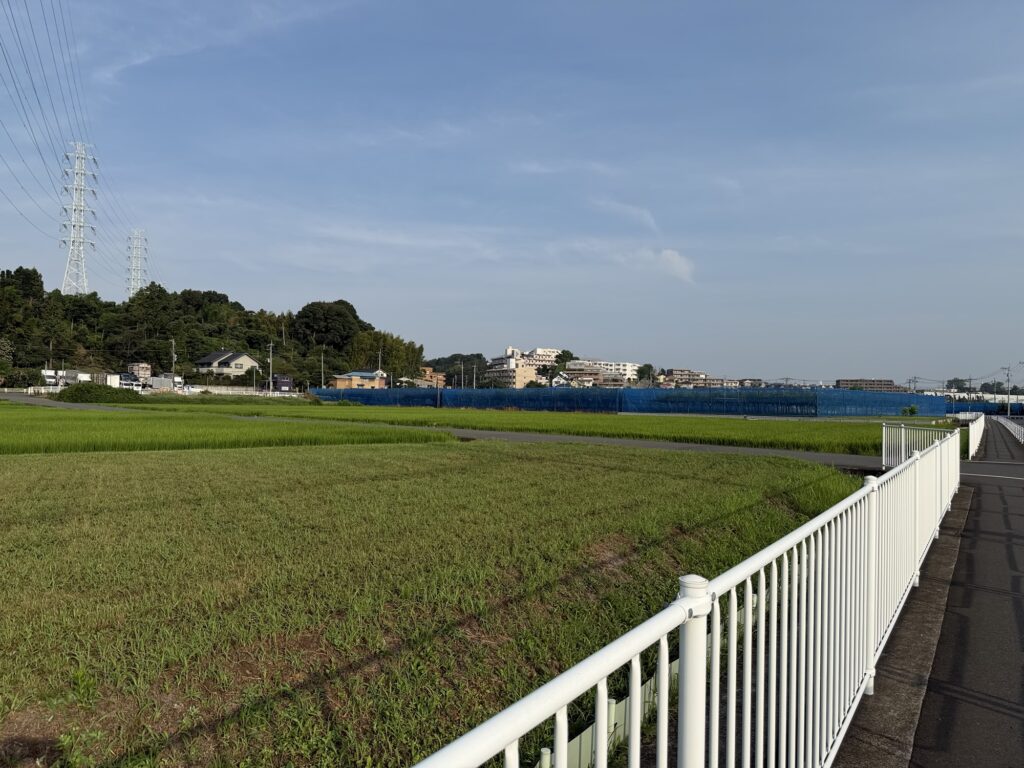 横浜青葉JCT方面へ歩く途中の田んぼと住宅地